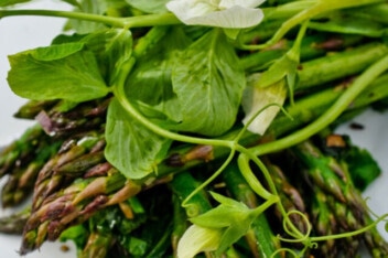 cropped-asparagus-green-garlic-pea-tendrils.jpg