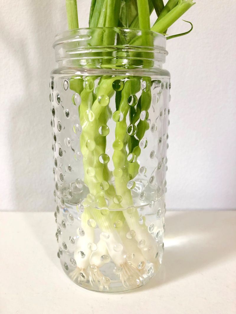 How to Cut Green Onions (Scallions) Clean Green Simple