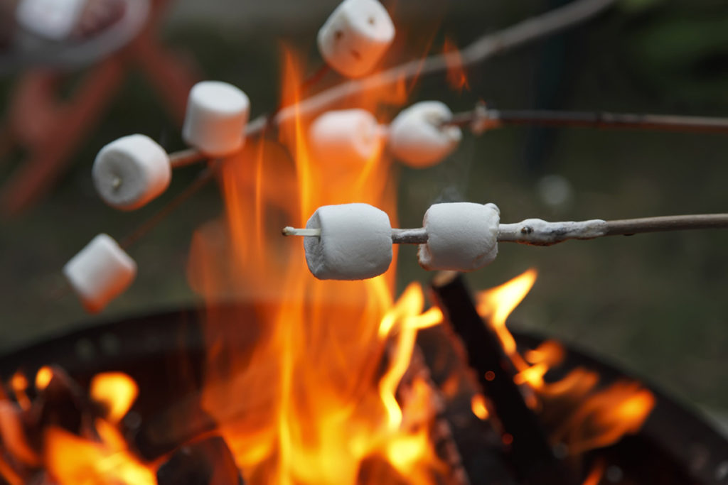 Are Marshmallows Vegan?