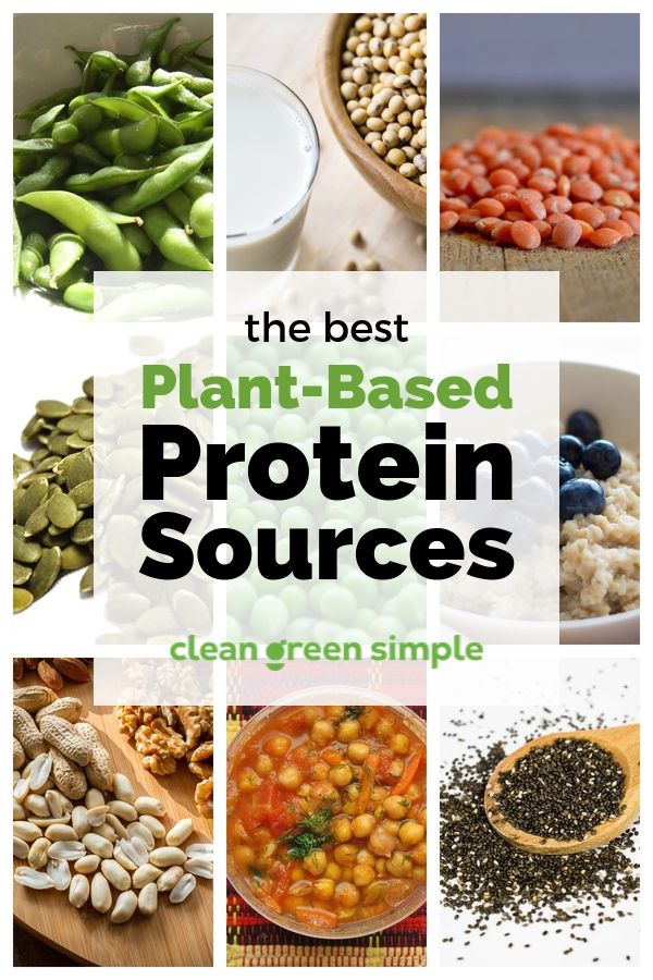 Cirkus scaring komplet 17 Best Plant-Based Protein Sources for Vegans and Vegetarians - Clean  Green Simple
