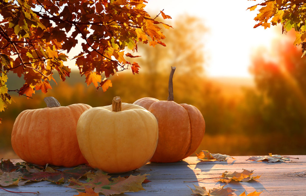 Pumpkins on a table in the sunset will fall leaves