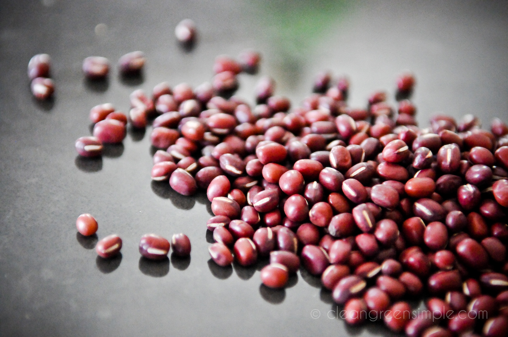 15 Completely different Forms of Beans (with Footage!)