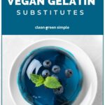 Vegan Gelatin Substitute
