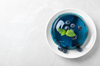 Delicious vegan gelatin substitute with blueberries and mint on grey table