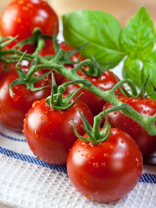 13 Mouthwatering Cherry Tomato Recipes