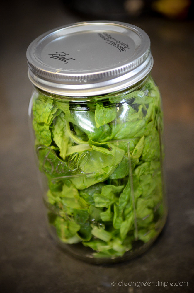lettuce in a mason jar