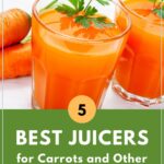 Best Juicers for Carrots