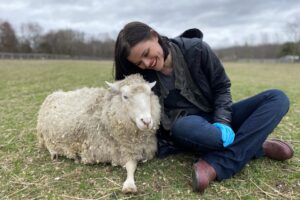 Visit Woodstock Farm Sanctuary’s Adorable Farm Animals from Your Couch