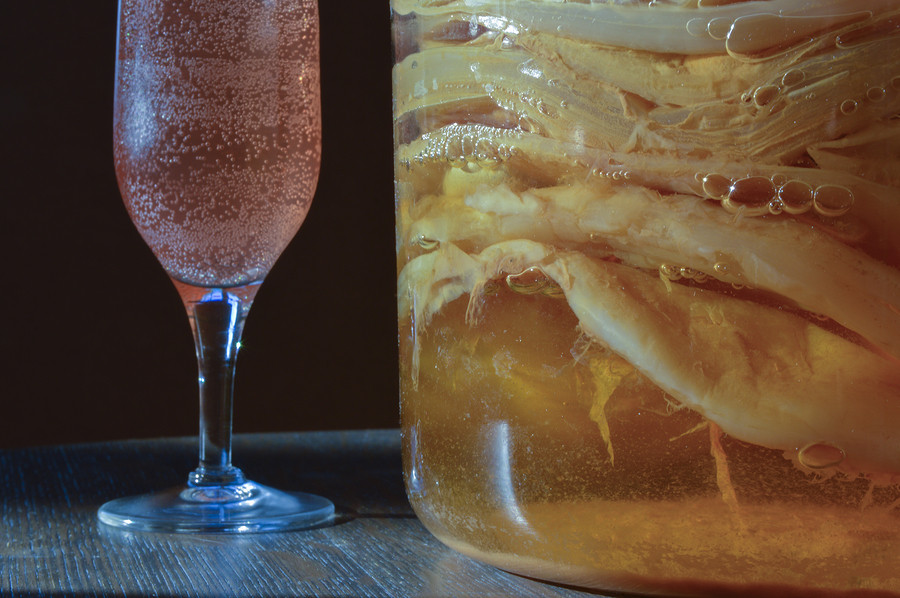 Close up of a jar filled with scoby cultures ready to start a new batch and a champagne glass filled with the finished bubbly product.