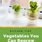 Vegetables You Can Regrow