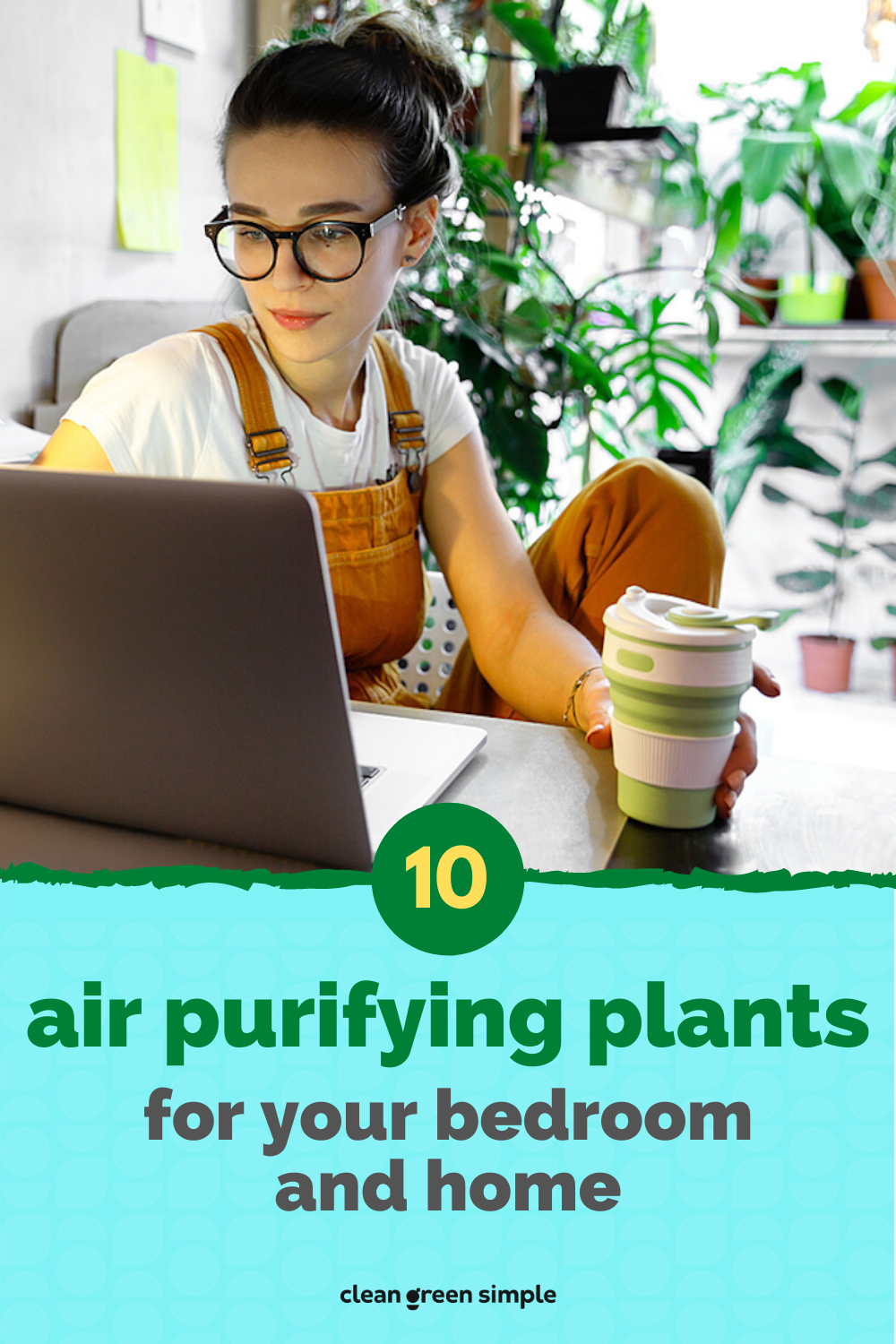 10 Best Air Purifying Plants for Your Bedroom and Home Clean Green Simple