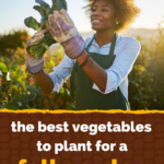 Best Vegetables to Plant in Fall