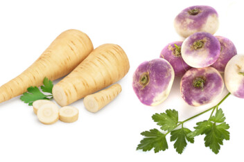 A couple of parsnips next to some turnips with parsely