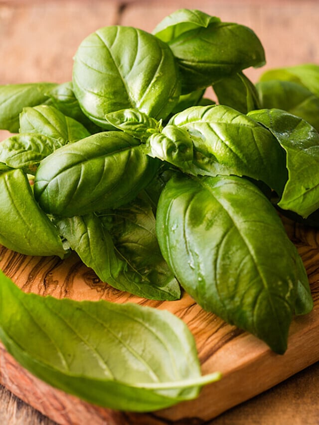 How to Harvest and Dry Homegrown Basil Story