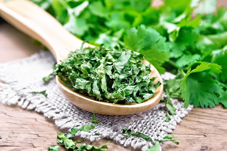 How to Freeze Cilantro to Use Later Clean Green Simple