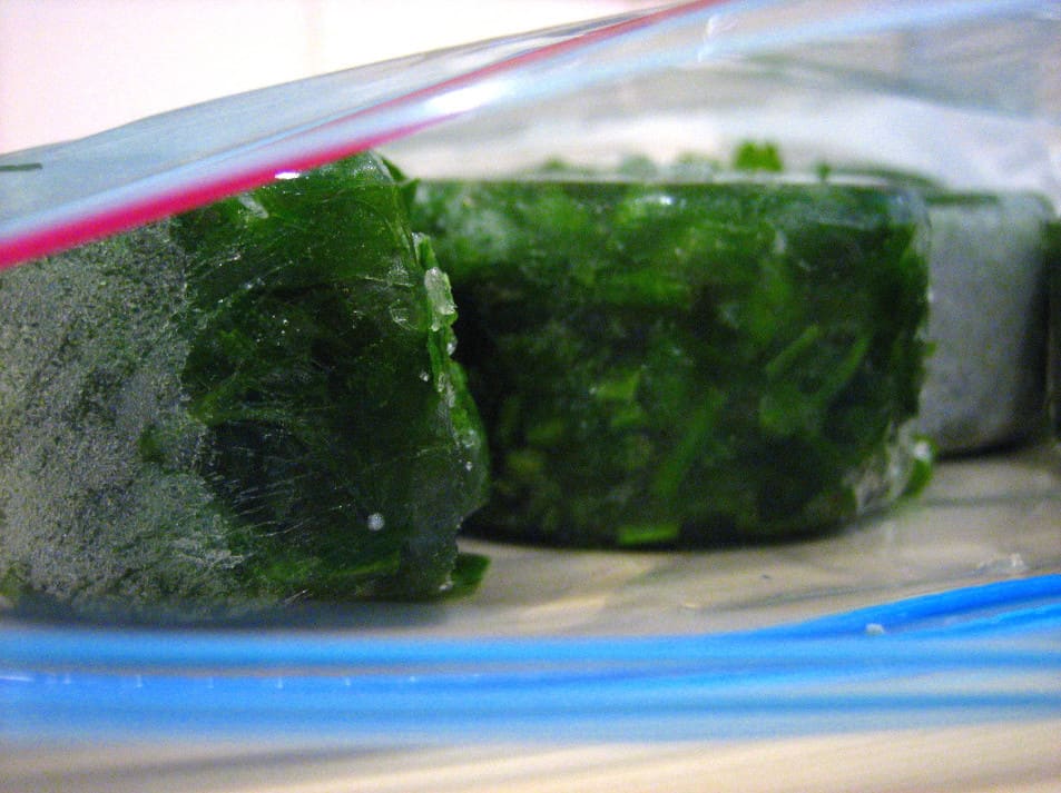 Frozen parsley cubes in ziploc bags