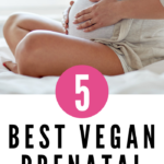 best vegan prenatal vitamins