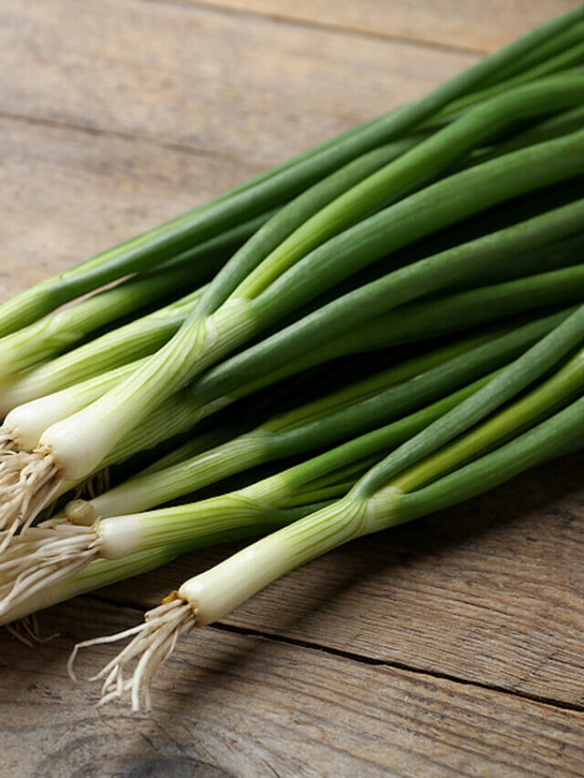 Green Onions vs Scallions vs Spring Onions Story