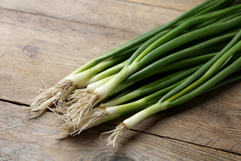 green-onions-vs-scallions-vs-spring-onions-is-there-a-difference