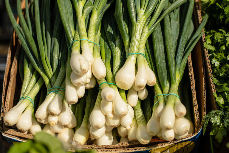 Green Onions vs Scallions vs Spring Onions Is There a Difference