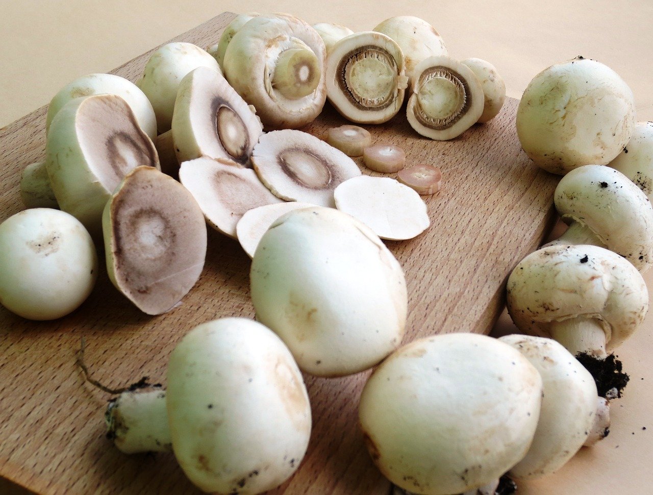 Button Mushrooms (agaricus bisporus) 