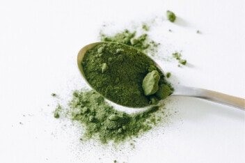 A spoonful of green powder supplement on a plain background.