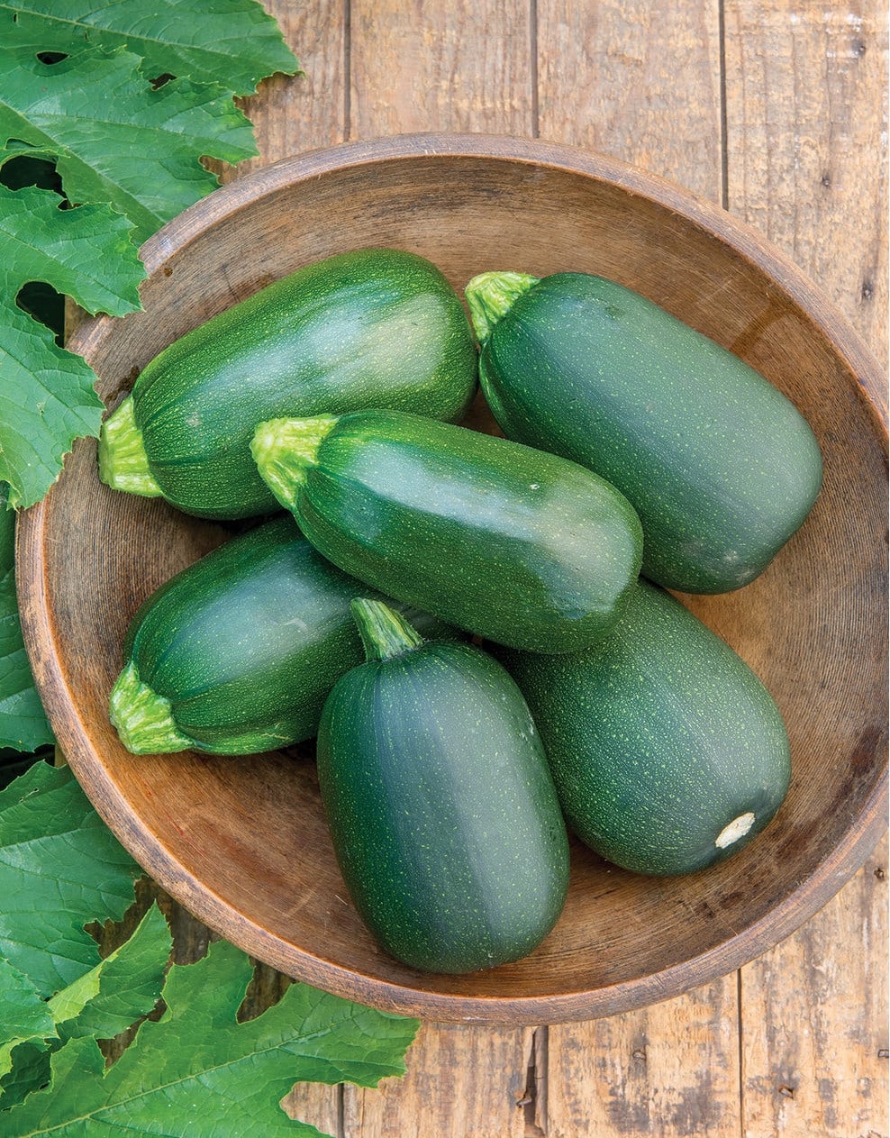 35 Summer and Winter Squash Varieties Clean Green Simple