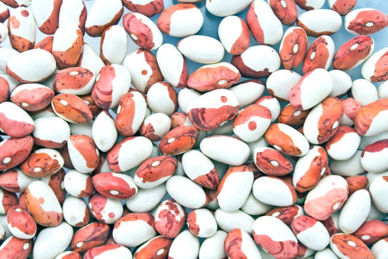 calypso beans