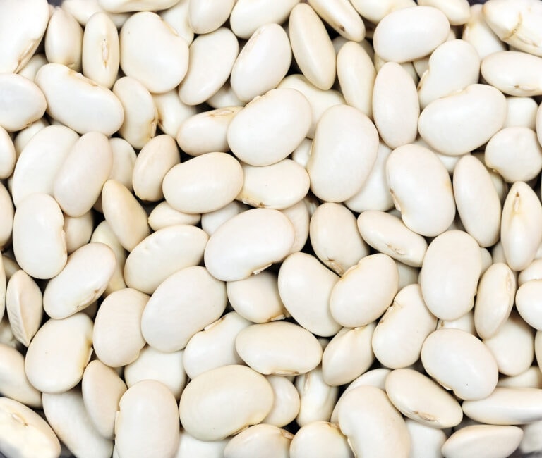 15 Different Types of Beans (with Pictures!) - Clean Green Simple