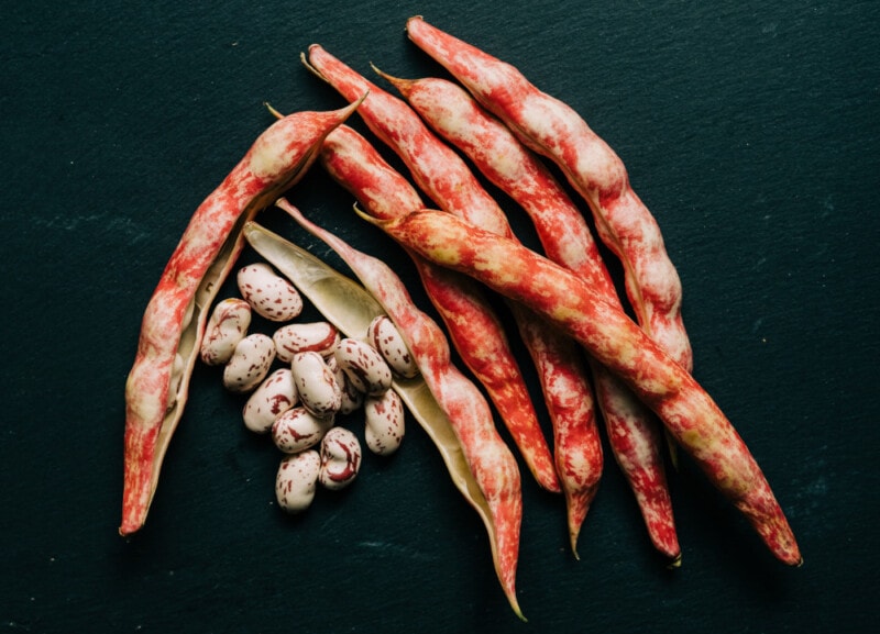 cranberry beans on black background