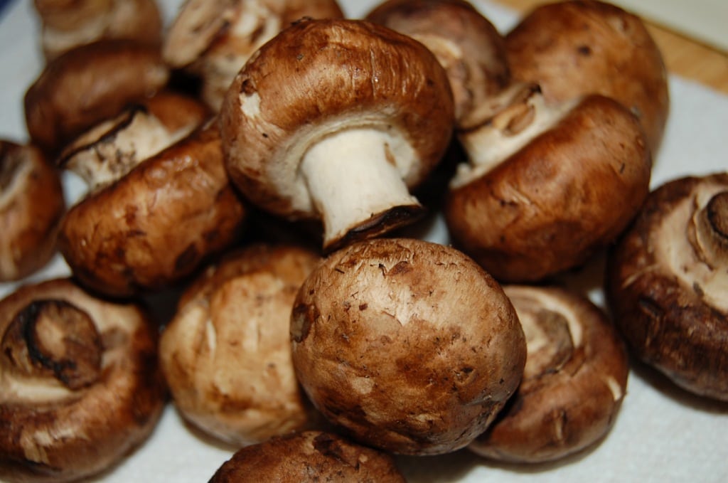 Cremini Mushrooms (Agaricus bisporus) 