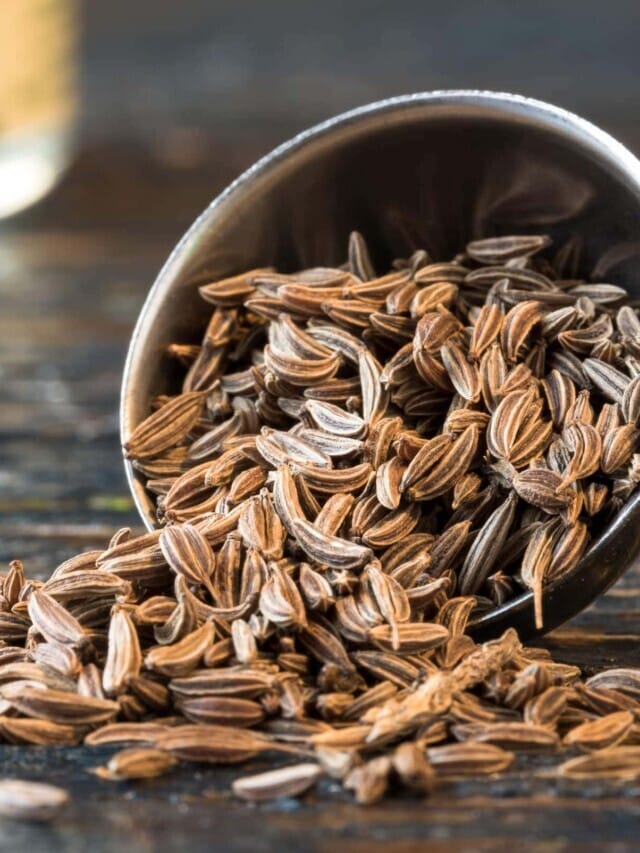 5 Best Substitutes for Caraway Seeds Story
