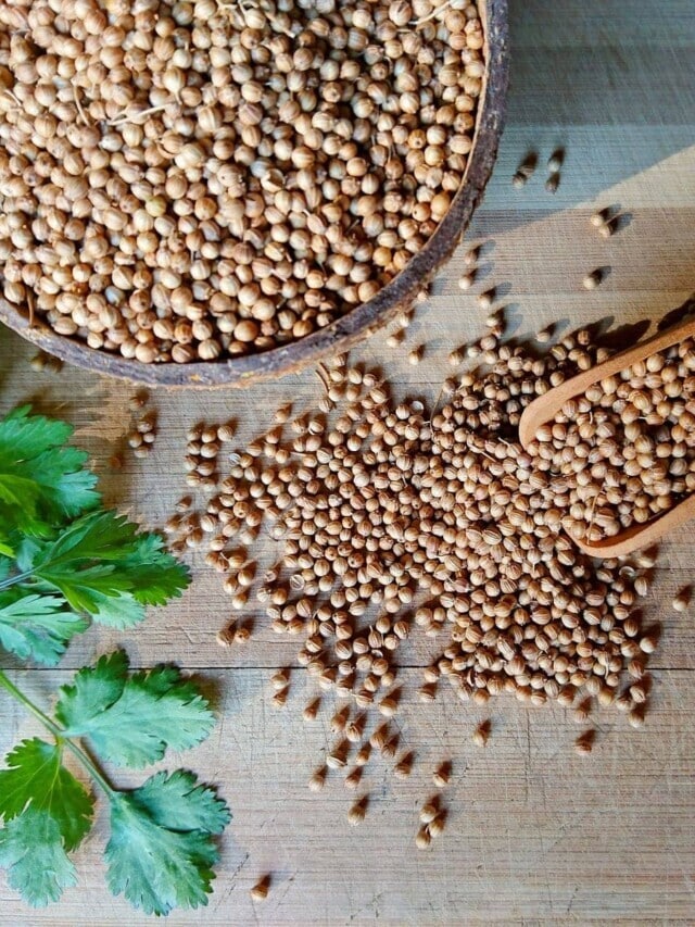 6 Best Substitutes for Coriander Story