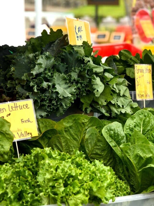 20 Different Types of Lettuce to Revamp Your Salad Story
