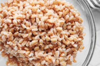 cropped-how-to-cook-farro-1000x1500-01.jpg