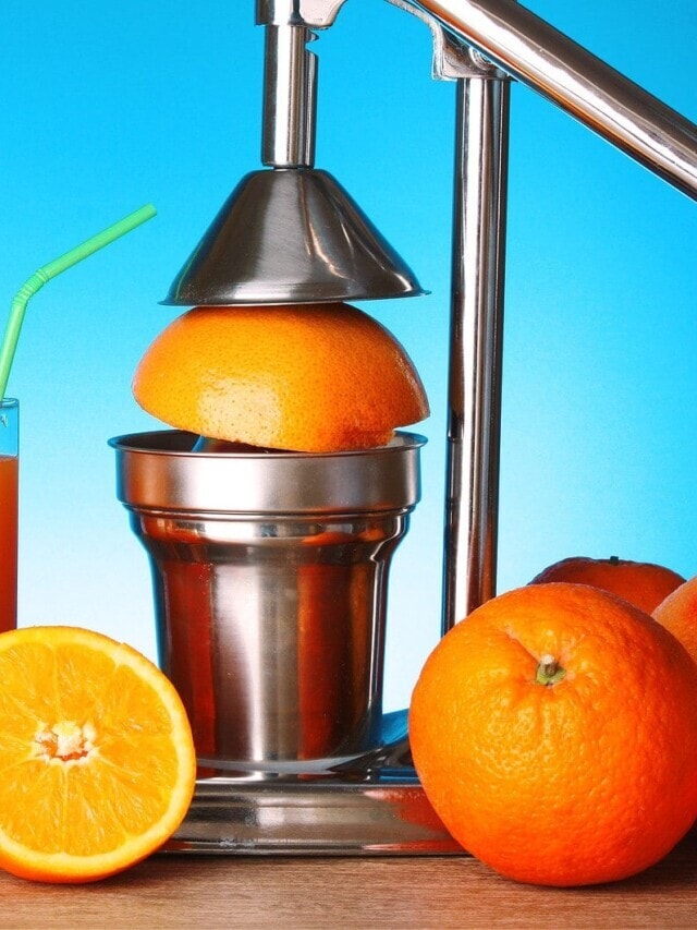 5 Best Manual Juicers for Homemade Fruit Juice Story