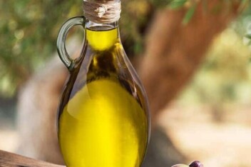 cropped-olive-oil-and-olive-tree.jpg