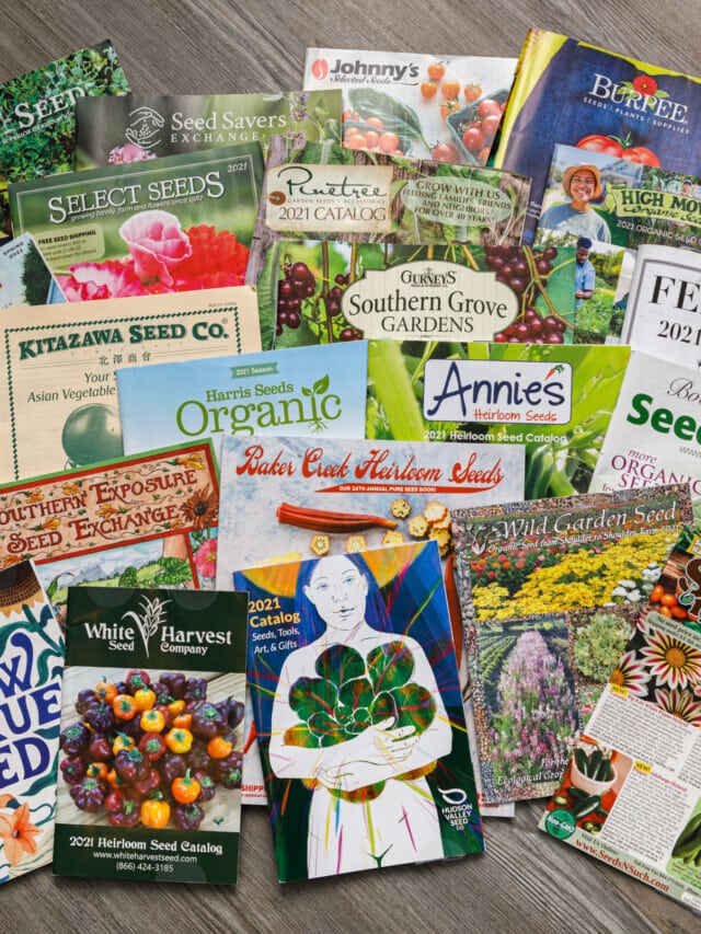 6 Best Seed Catalogs for Organic, Heirloom, Non-GMO Vegetables Story