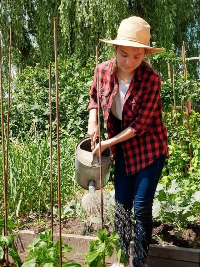 Woman watering fall garden