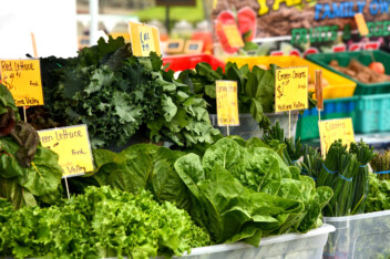 Different types of lettuce and greens at a farmer's market
