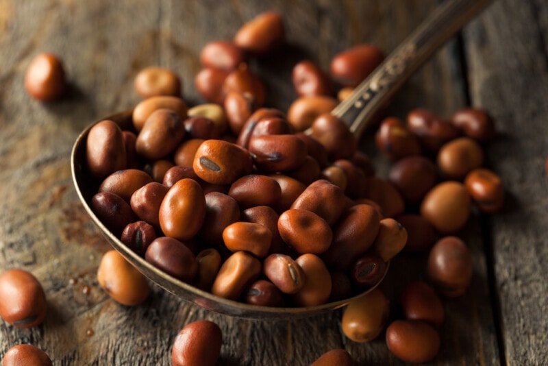 Fava beans in a spoon on a rustic wooden background