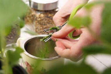 Our Best Herb Scissors of 2023