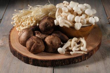 How to Grow Your Own Edible Mushrooms Indoors