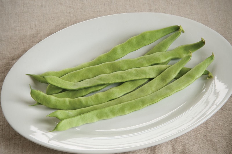 "Northeaster" Pole Beans