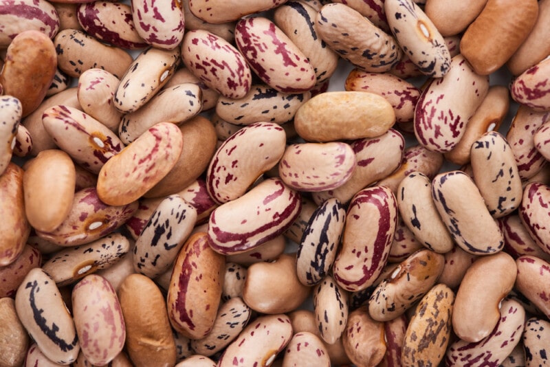 Raw Organic Pinto Beans