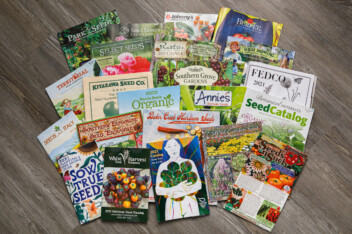 Various seed catalogs spread out on a wooden floor