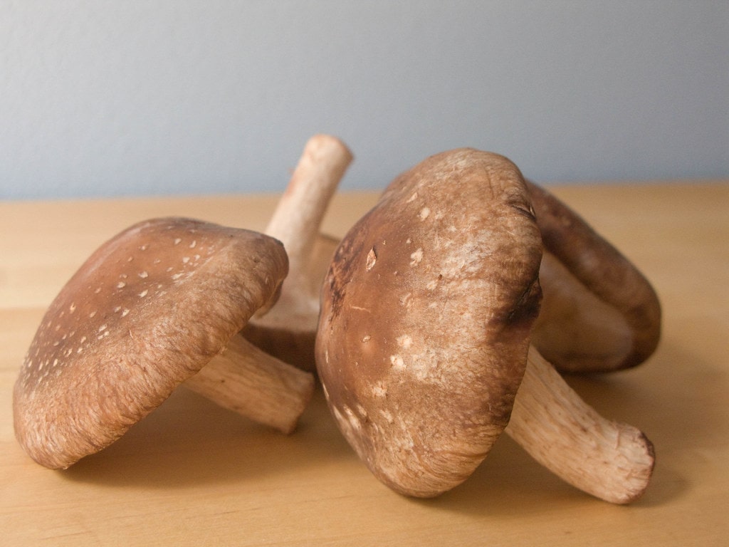 Shiitake Mushrooms (Lentinula edodes)