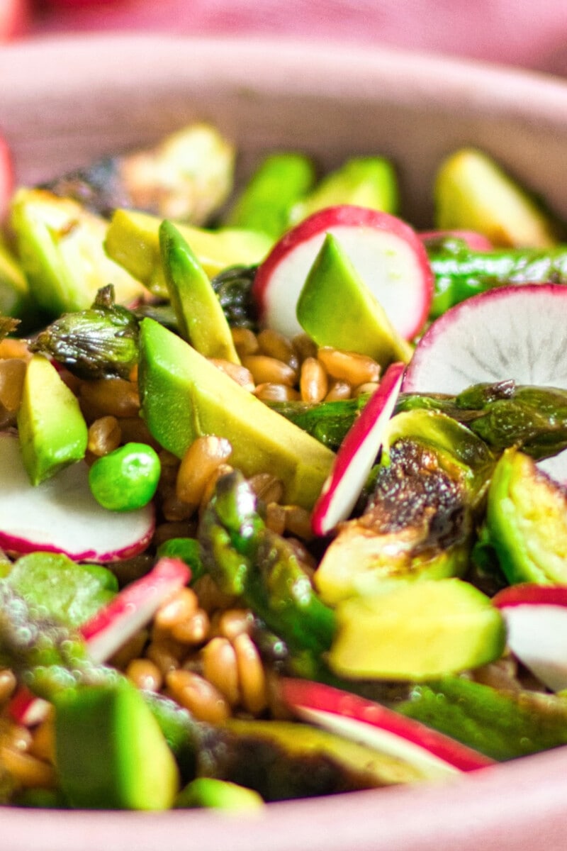 Close-up of spring grain salad with avocados, brussels sprouts, and radishes.