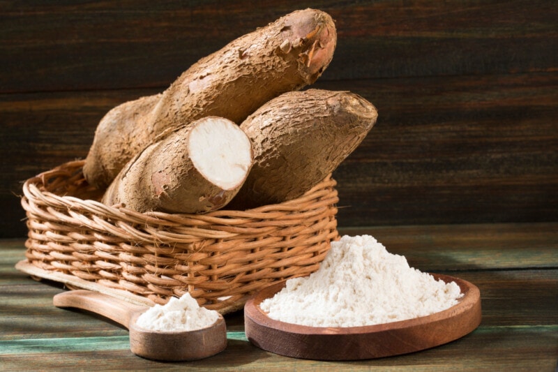 Tapioca starch from cassava root