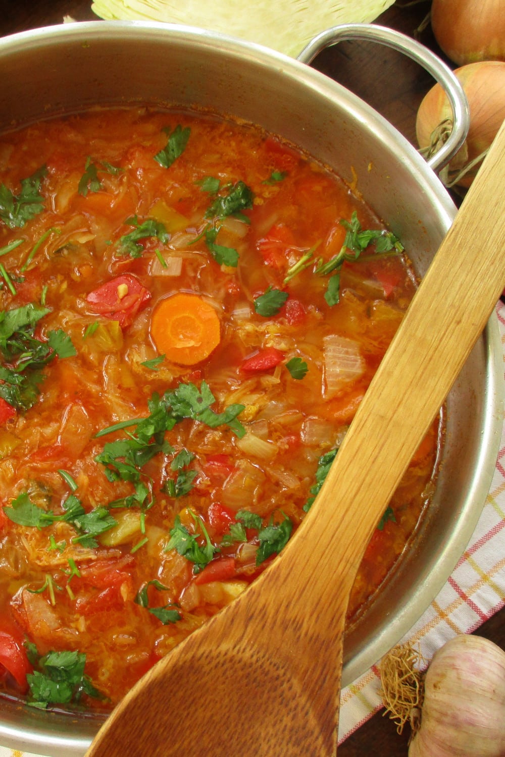 Cabbage soup in large pot with ladle, carrots, onion, pepper and garlic on the kitchen towel